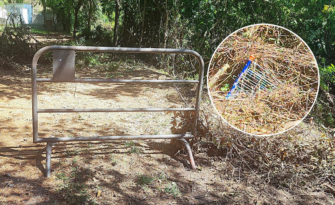 Sacchi, bottiglie, una transenna e... carrelli della spessa: i quintali di rifiuti gettati nella riva ripulita