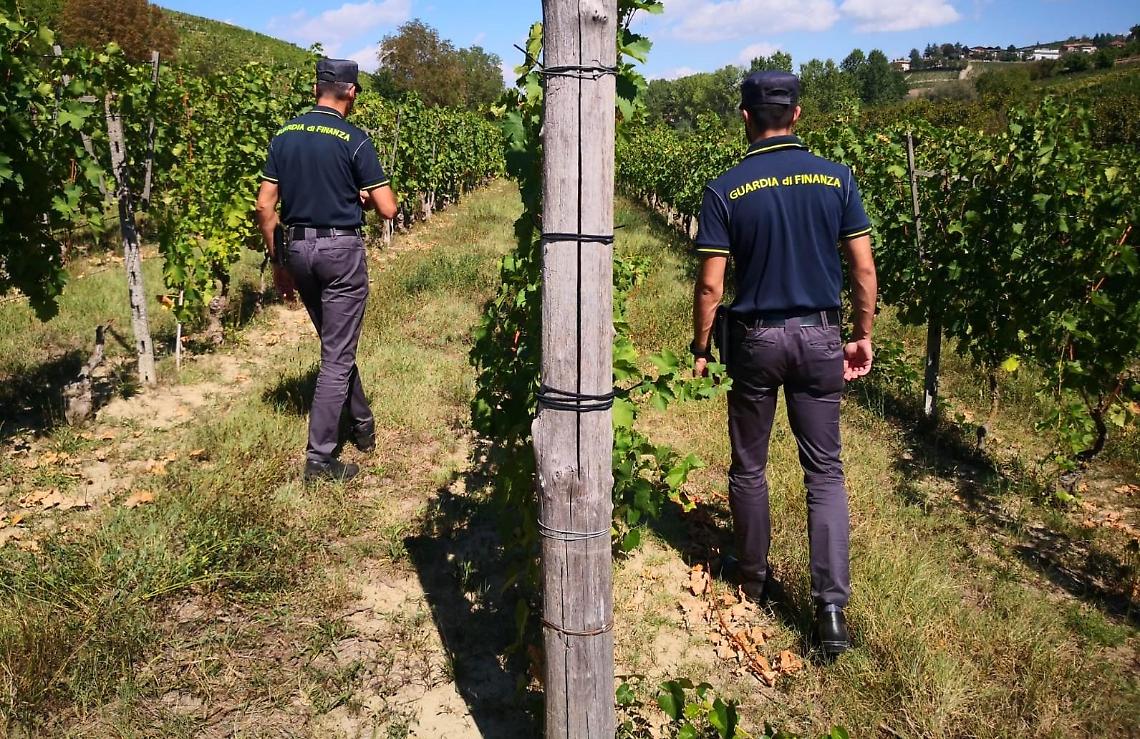 Lavoro in nero, la stretta della Guardia di Finanza: sanzioni per tre imprenditori 