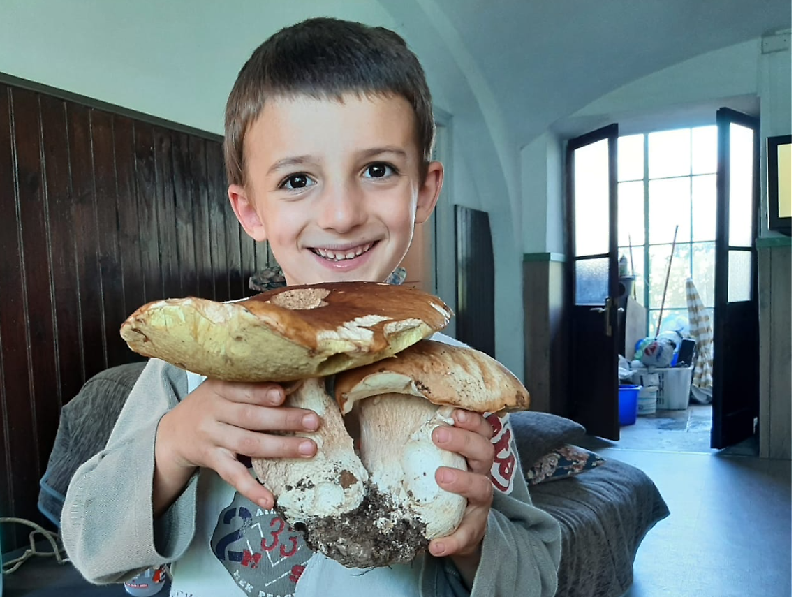 Piccolo cercatore inizia alla grande la stagione dei funghi con un porcino "gemello"