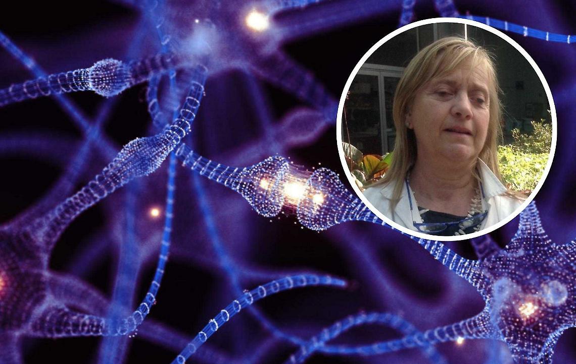 “La chiave della memoria": scoperta a Torino la proteina che accende il cervello”