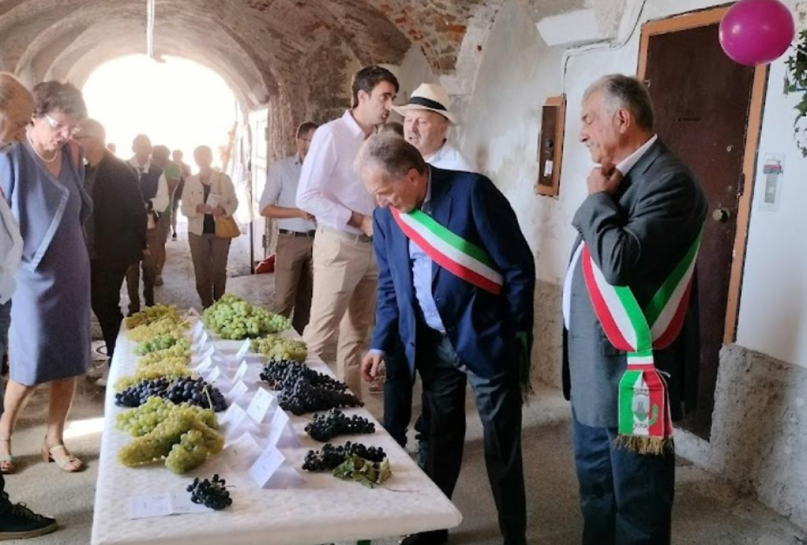 Tradizione e un nuovo... percorso gastronomico: torna la "Mostra dell'uva e del vino"