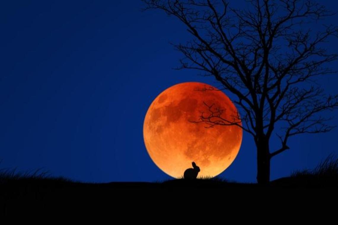 La "Luna di sangue" nel cielo italiano: eclissi totale domenica 7 settembre
