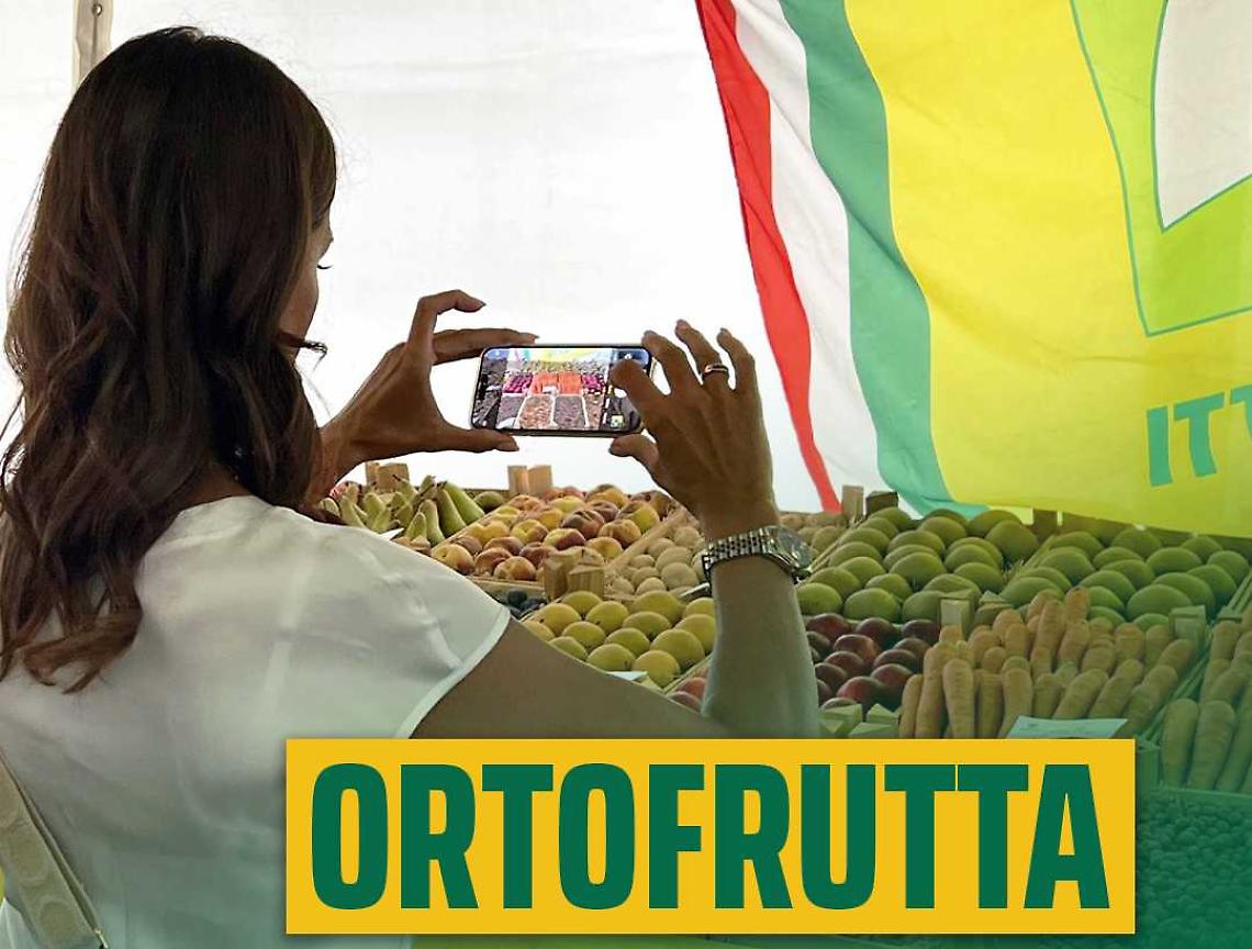 Clima estremo, costi in salita ma l'ortofrutta cuneese regge