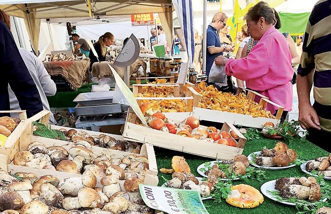 Il mercato del sabato cambia location