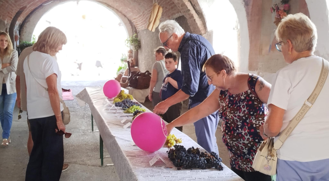 Tradizione e prodotti tipici: Bastia ha reso omaggio all'uva e al vino di Langa