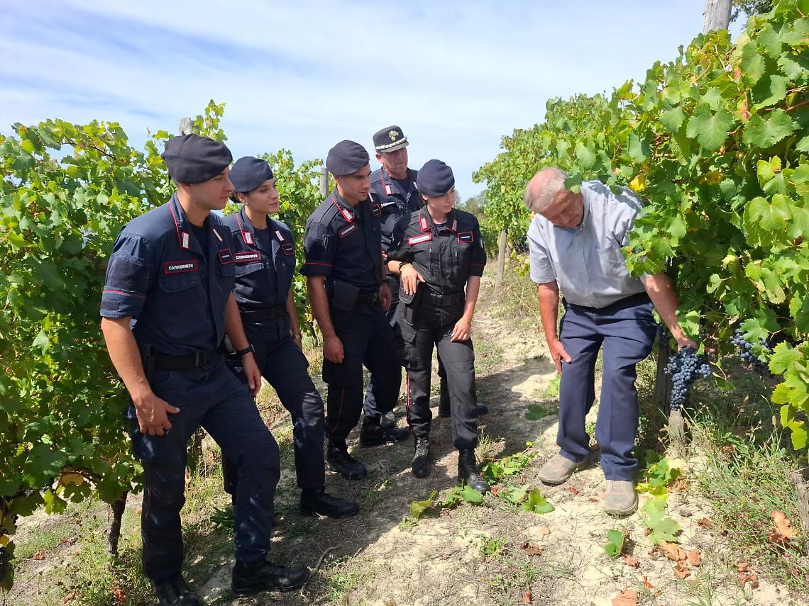Carabinieri Forestali a lezione tra le vigne: giornata di studio e pratica in Langa