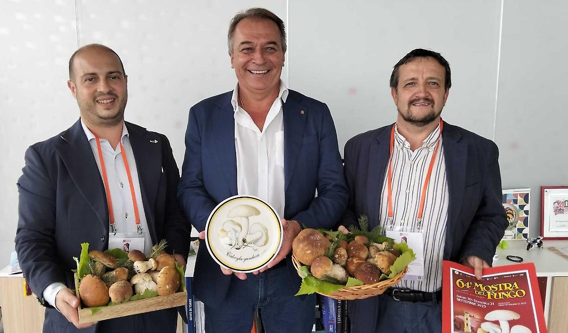 Il fungo cebano “sale” sul grattacielo della Regione!