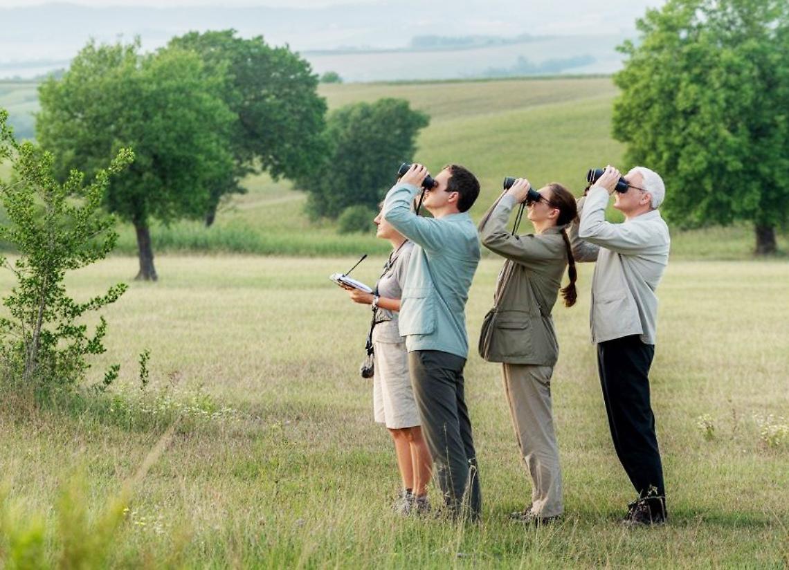 Con il binocolo tra la natura, per non perdersi lo spettacolo degli uccelli migratori