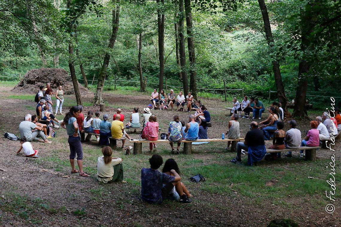 Dal silenzio del bosco alla musica d’avanguardia: l’esperienza unica di “Bosco sonoro”