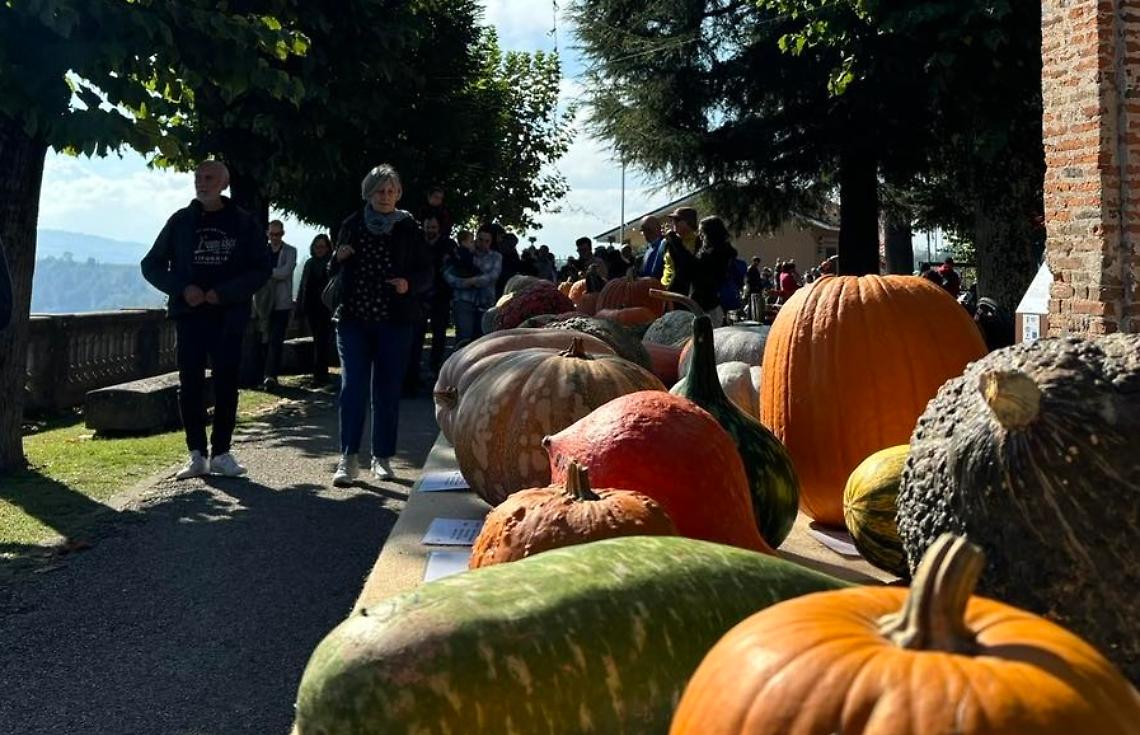 "Il futuro è Zucca"? Al cinema, l'anteprima della Fiera