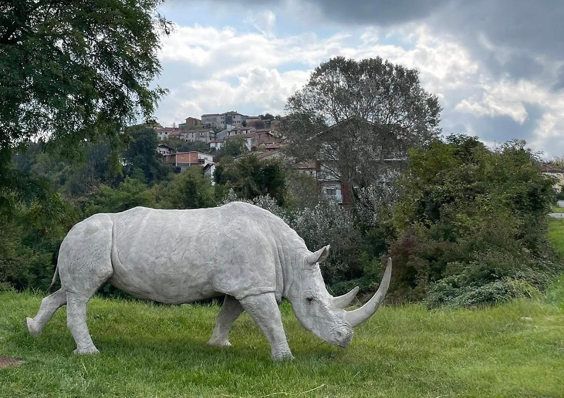 Cosa ci fa un rinoceronte tra le colline delle Langhe?