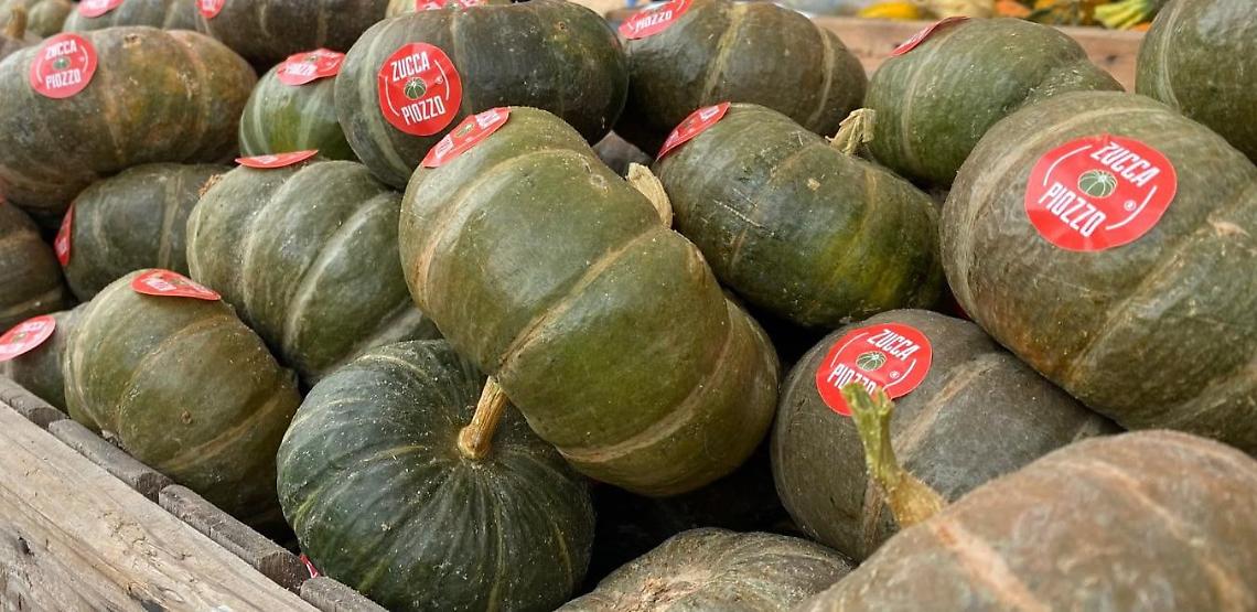 Anteprima Fiera: la "Zucca Piozzo" diventa presidio Slow Food
