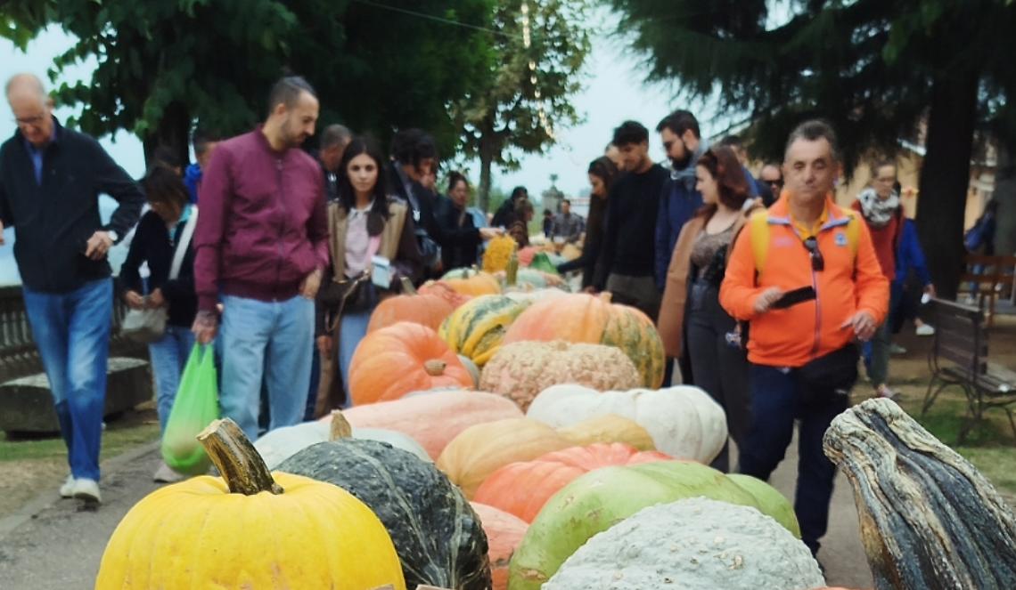 La mostra con oltre 600 varietà di zucca da tutto il mondo