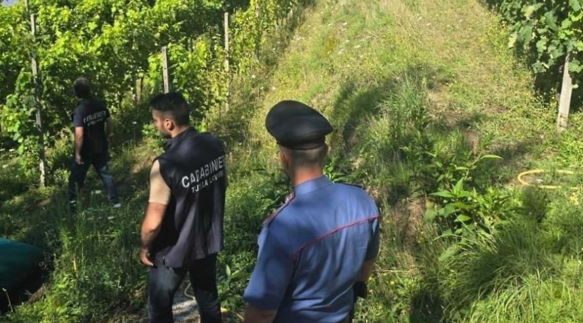 Lavoro nero e irregolarità nei campi: 7 aziende su 10 sotto sanzione in Granda