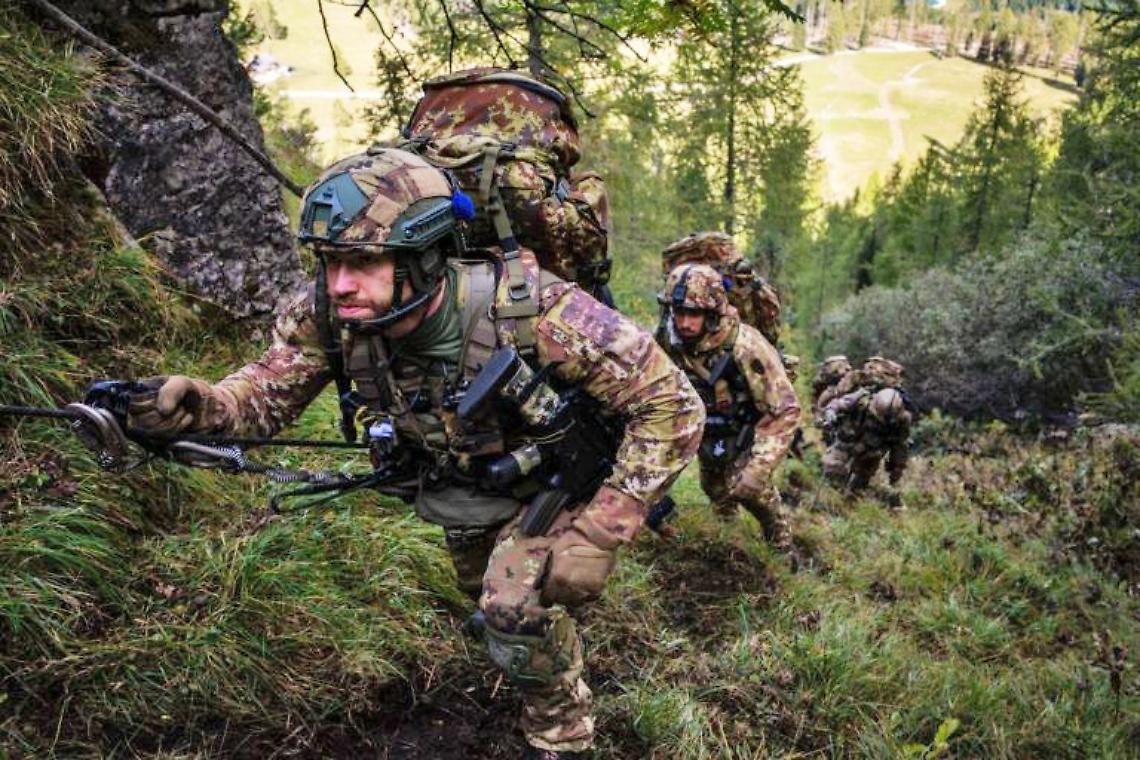 Alpini