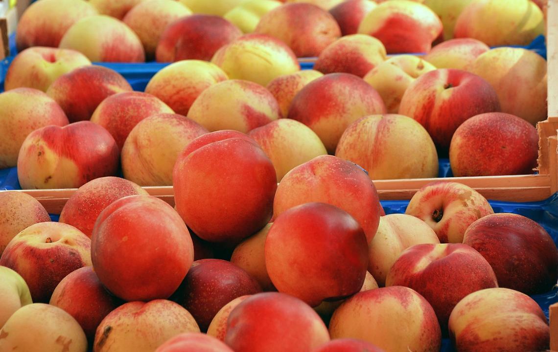 «La frutta viene pagata anche 10 mesi dopo la raccolta, tempi inaccettabili»