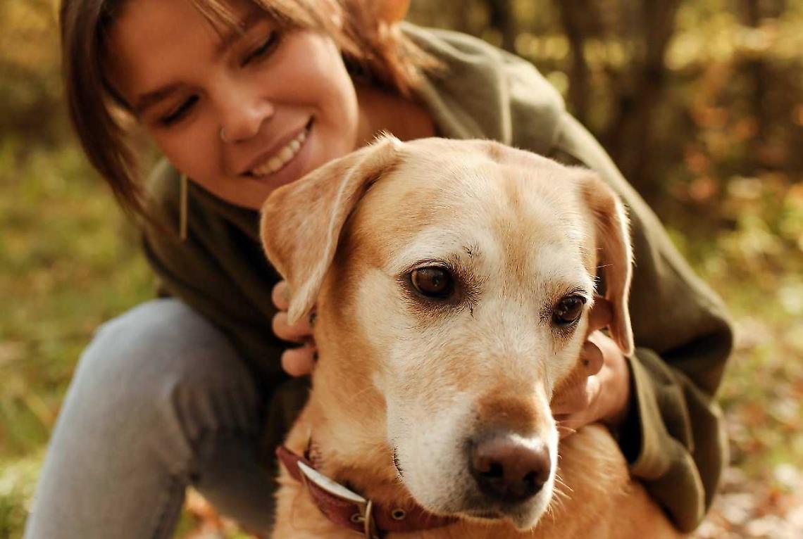  Sai davvero capire il tuo cane? Un corso gratuito per impararlo!