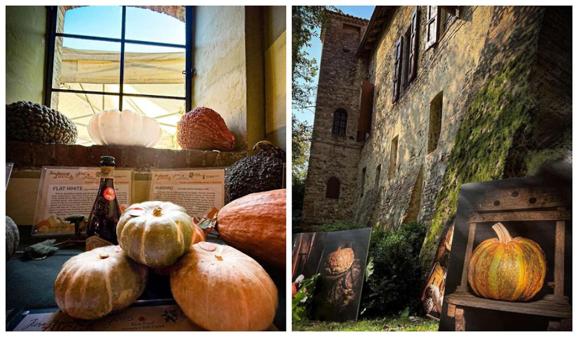 Un antico castello per le zucche di Piozzo