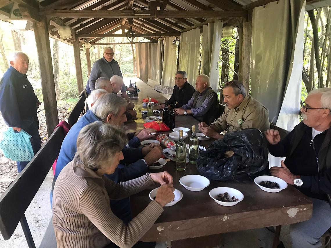 Castagne e passione: la festa del Gruppo Micologico Cebano