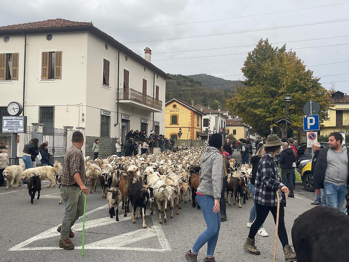 Sabato arriva la transumanza!