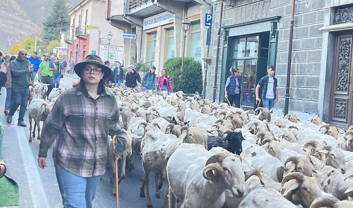 Garessio transumanza