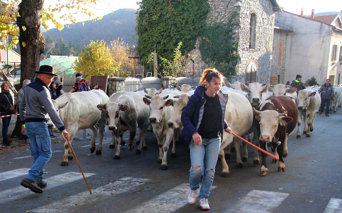 Torna la transumanza, ed è subito festa grande