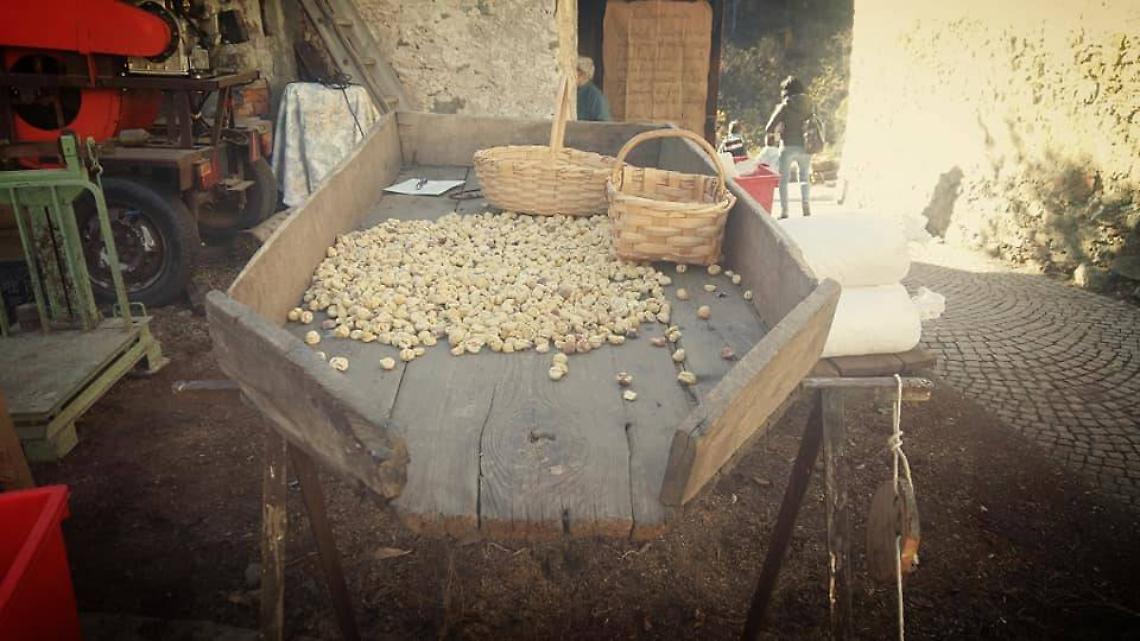 Il segreto dei “tecci”: dove il fumo trasforma le castagne in oro d’autunno