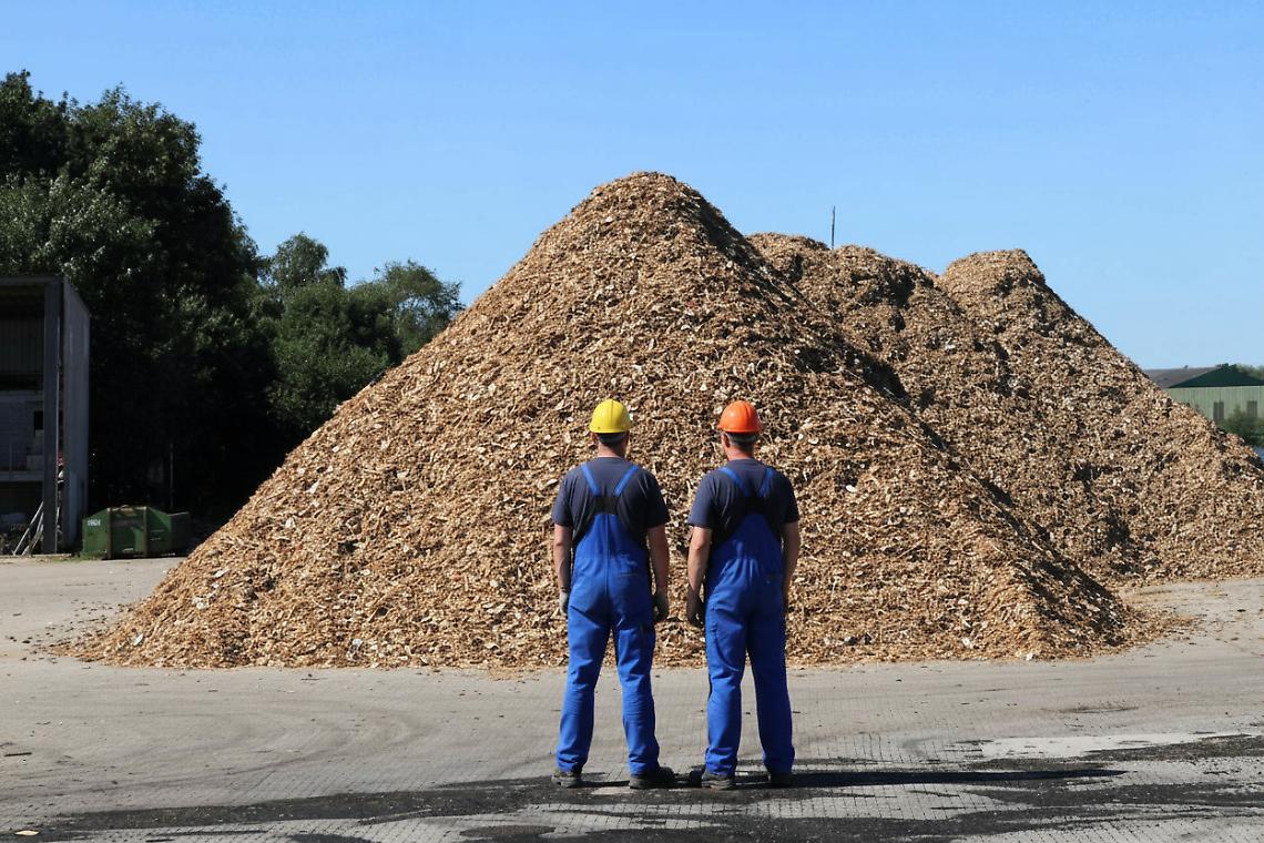 Impianti termici a biomassa (IA)