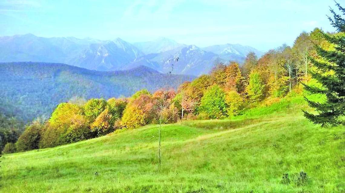 Associazioni fondiarie, dieci anni per ridare vita ai terreni abbandonati