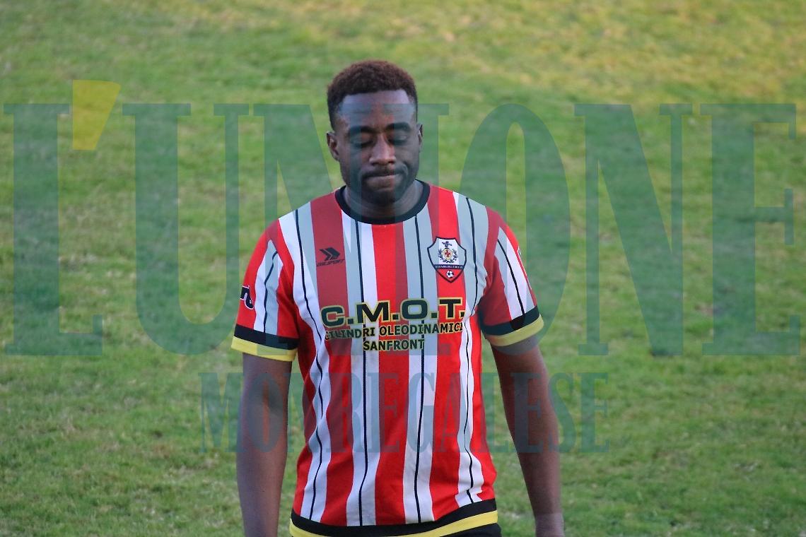 NARZOLE PEDONA ARTICOLO