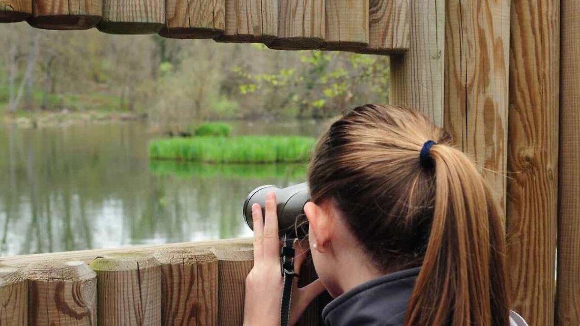 Uno sguardo sul paradiso: la Riserva naturale apre una nuova torretta per il birdwatching