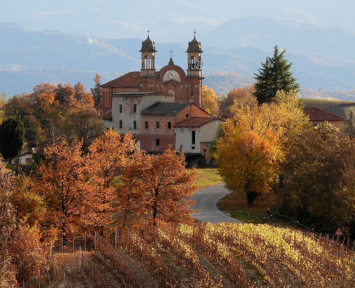 Natura e piccole comunità: l'importanza di proteggere i boschi delle Langhe