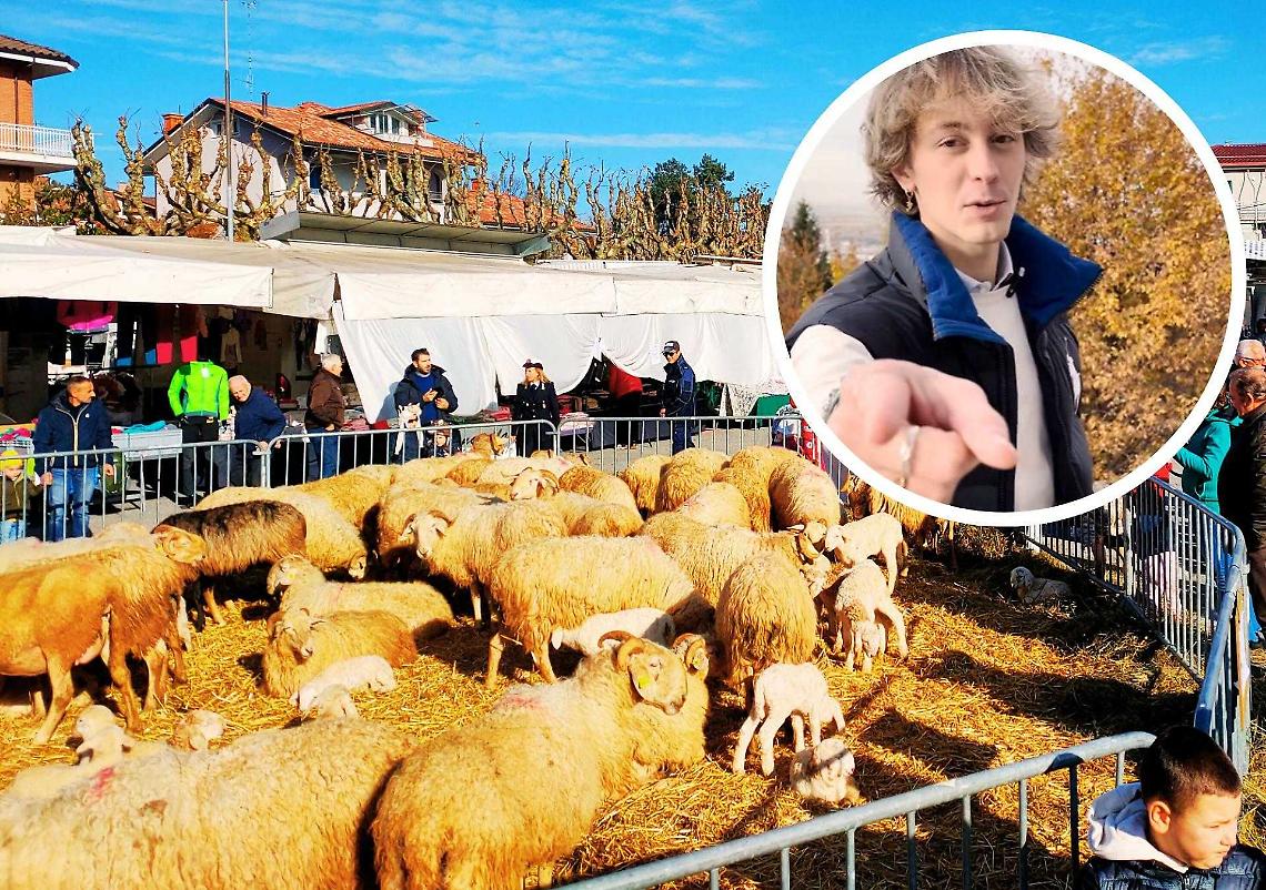 Cosa faccio nel week-end?