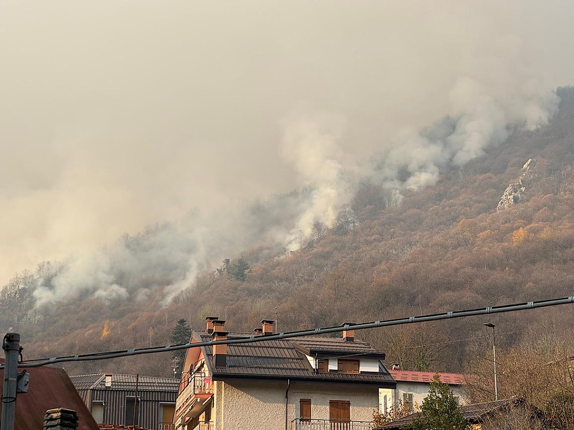 Bruciati 300 di ettari di bosco, danno enorme: la Regione deciderà per un sopralluogo