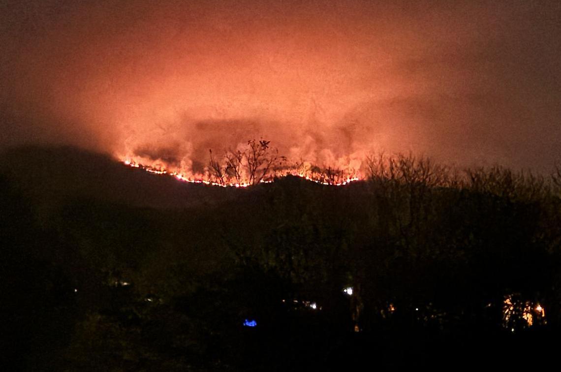 «I nostri boschi andati in fiamme: aiutiamo la valle a rinascere, adottiamo un albero a testa»