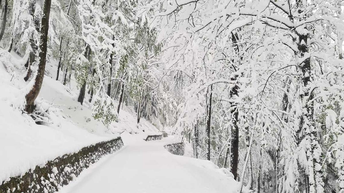 Chiusa la strada tra Pian delle Gorre e Villaggio d'Ardua