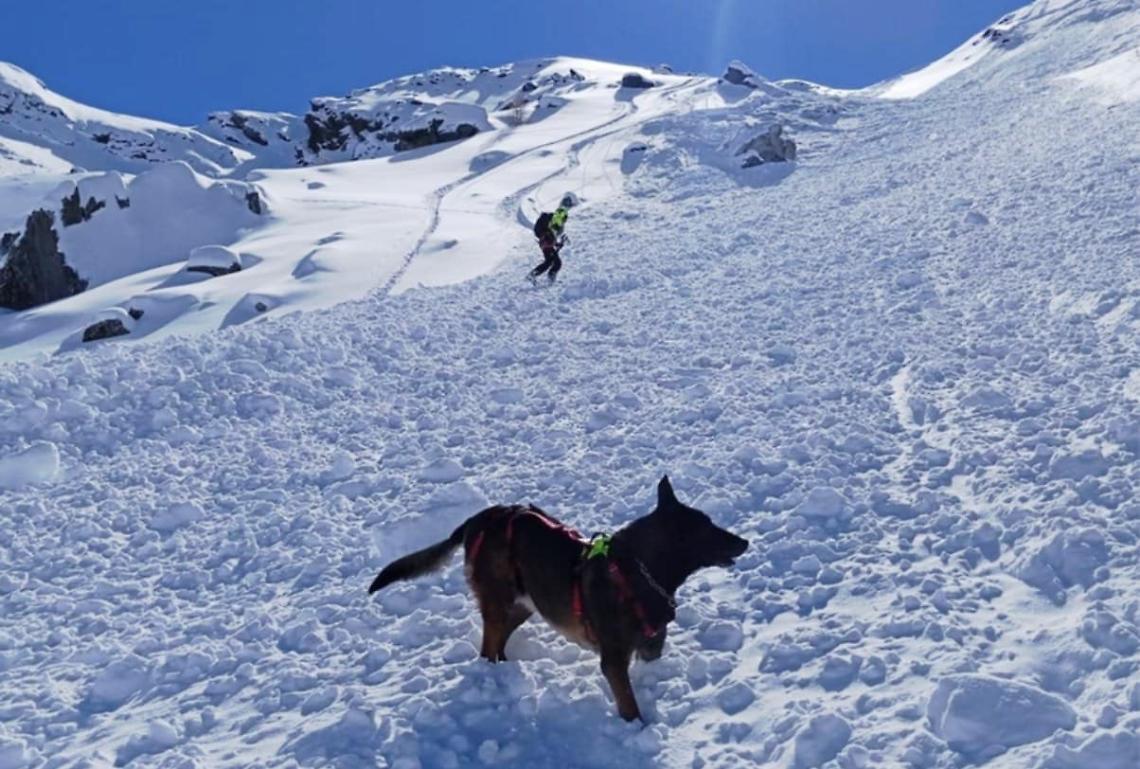 Nevicata nel Cuneese: il Soccorso Alpino attiva l'unità cinofila da valanga