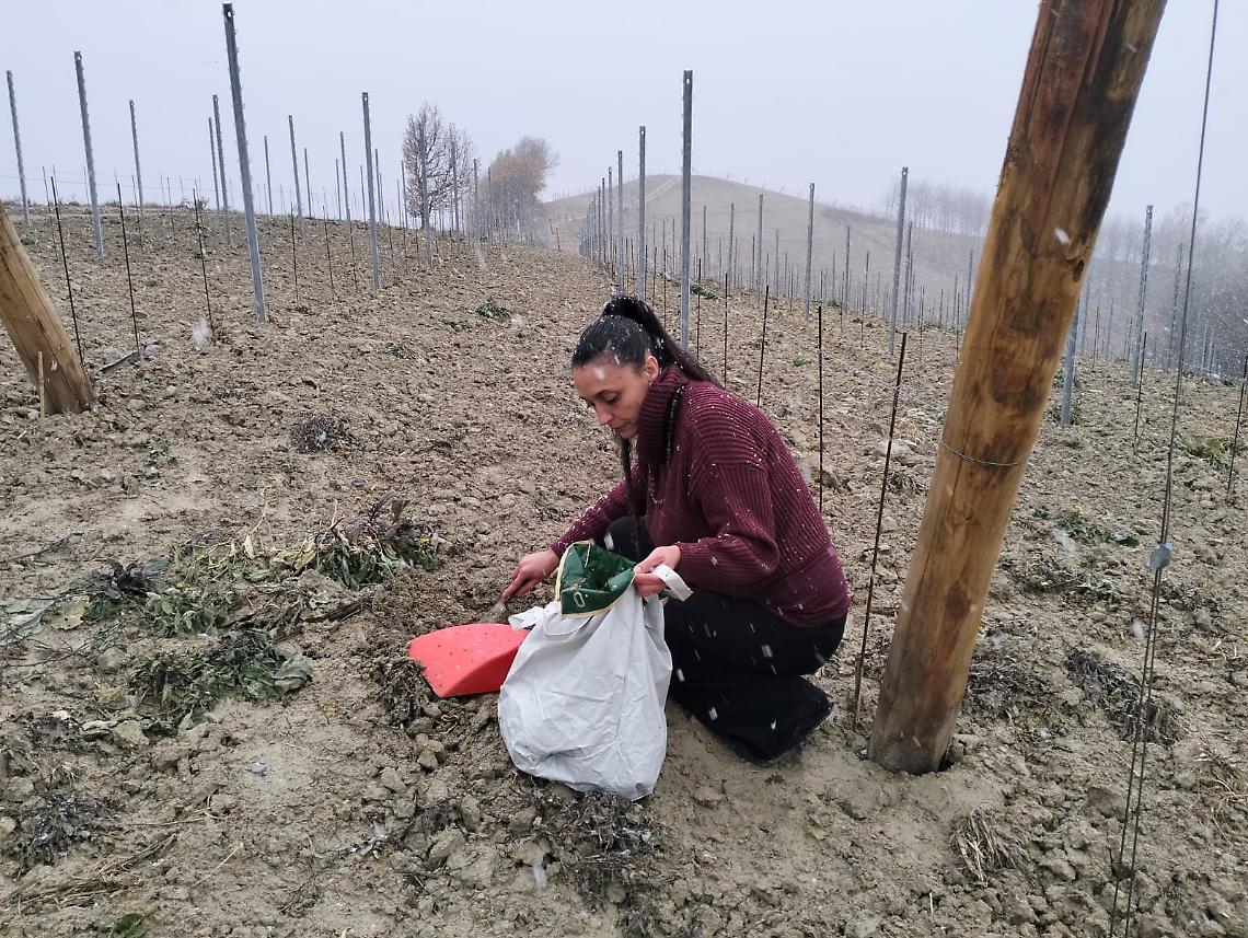 Sara, l'artista che plasma le sue opere con la terra dei vigneti delle Langhe