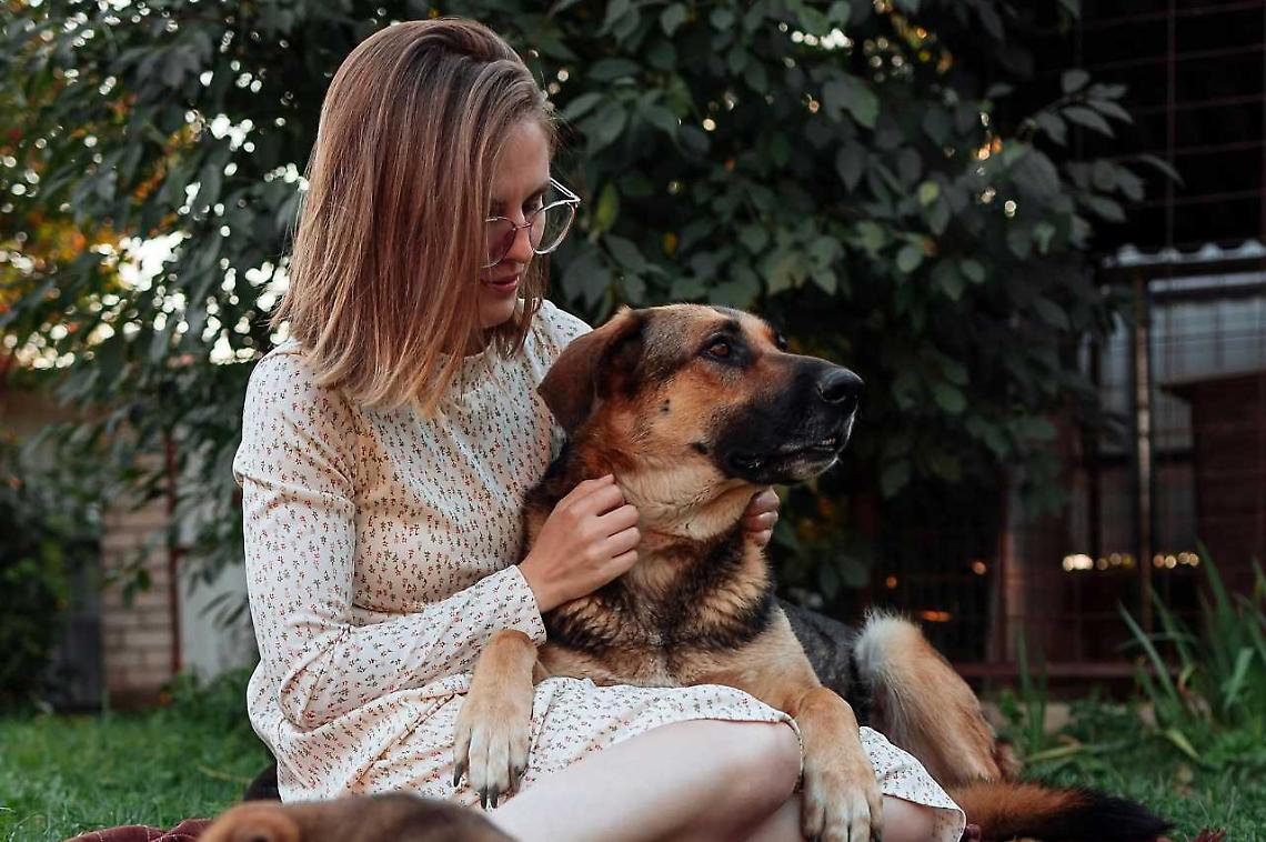 “Viaggiatori dello stesso mondo”: il progetto che insegna a vivere meglio con i cani