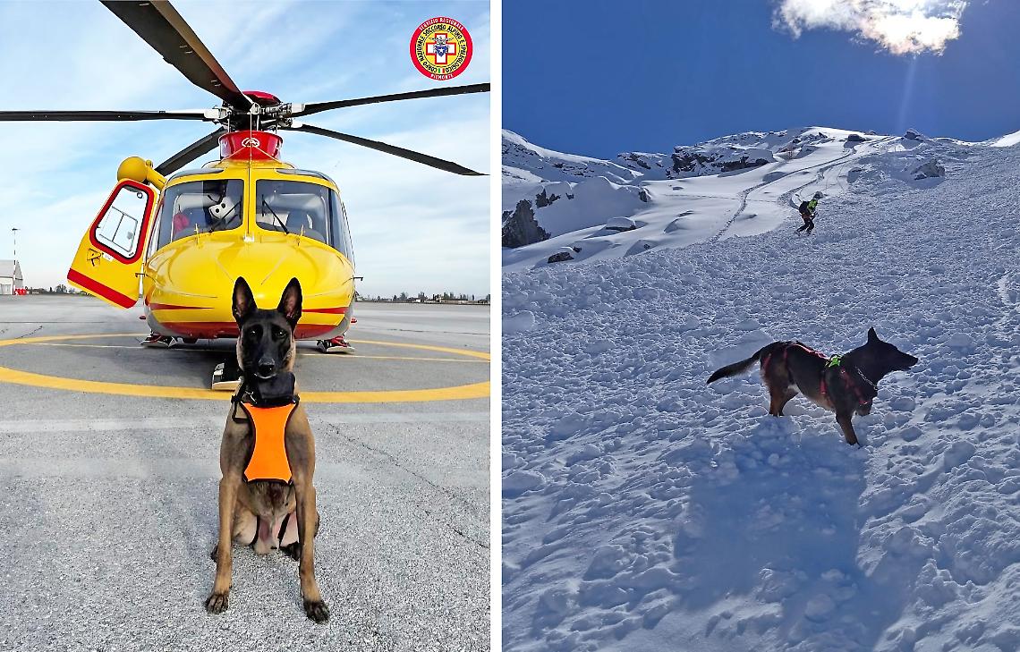 Il fiuto che fa la differenza nelle valanghe, «ma non dimenticate l’attrezzatura di sicurezza»