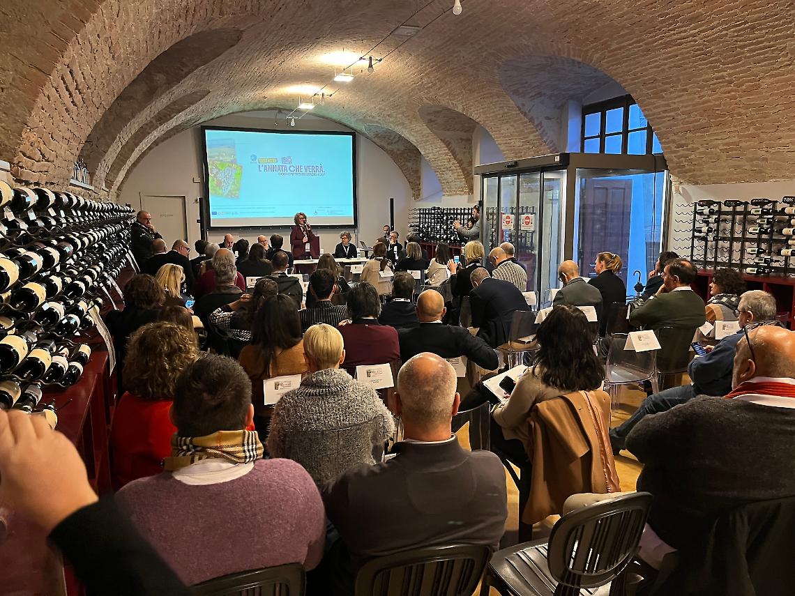 Il "Re dei vini": un Barolo "sfidante" quello che debutta il 1º gennaio