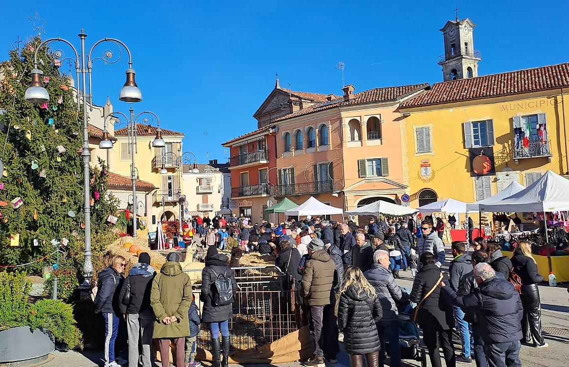 Zucche sull'albero di Natale? A Piozzo è (meravigliosamente) realtà