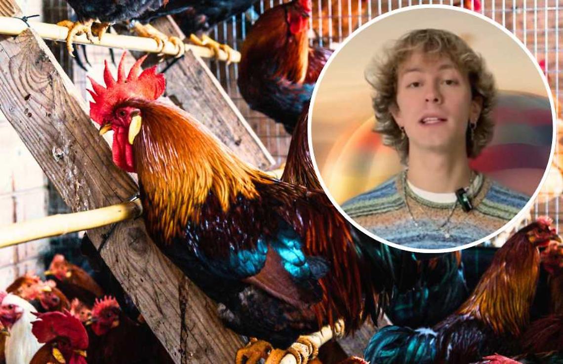 Cosa faccio nel week-end?