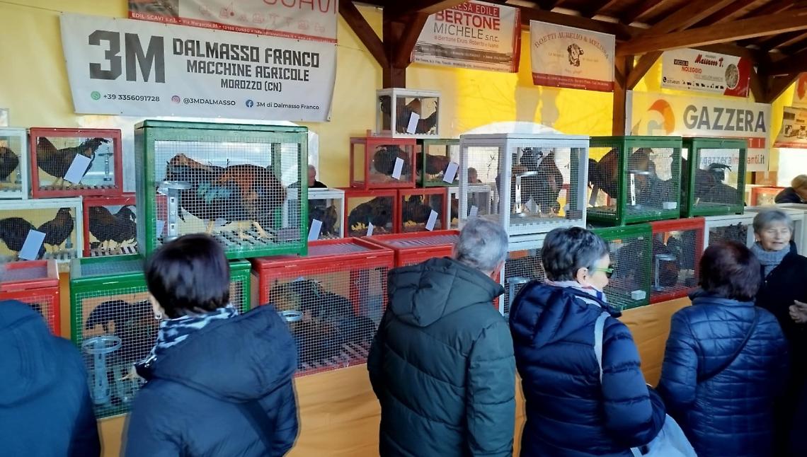 I capponi dell'Istituto Agrario di Cussanio vincono il premio della giuria popolare