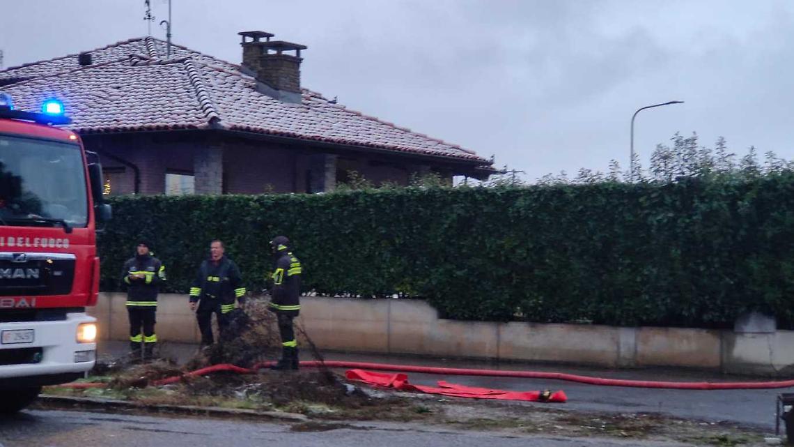 Cantine e garage allagate, alberi caduti in strada