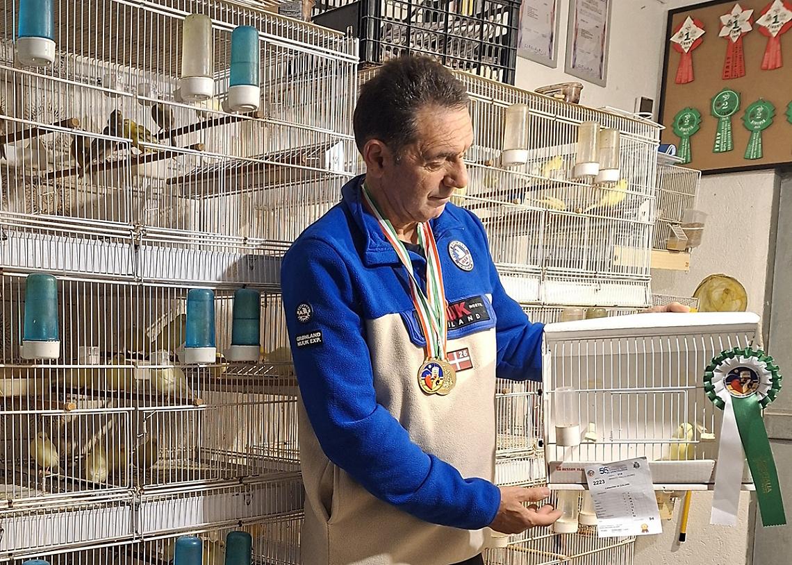 Sono di Mondov&igrave; i canarini pi&ugrave; belli d&rsquo;Italia