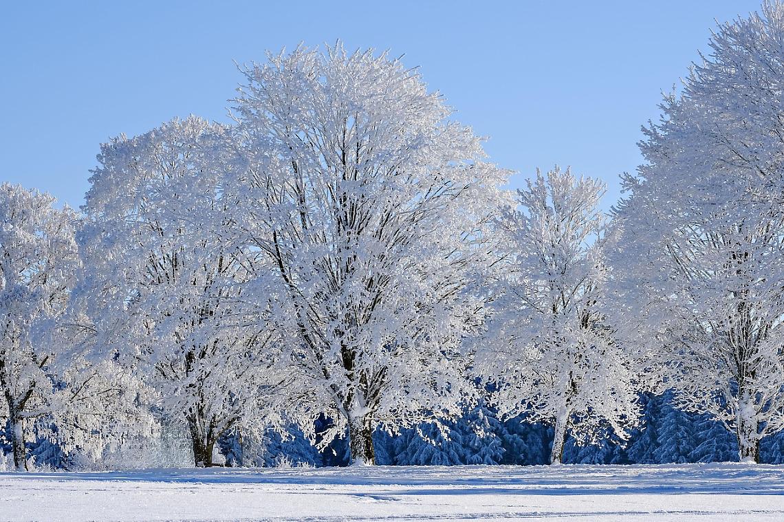 Piemonte nella morsa del gelo: -19 gradi a Sauze di Cesana