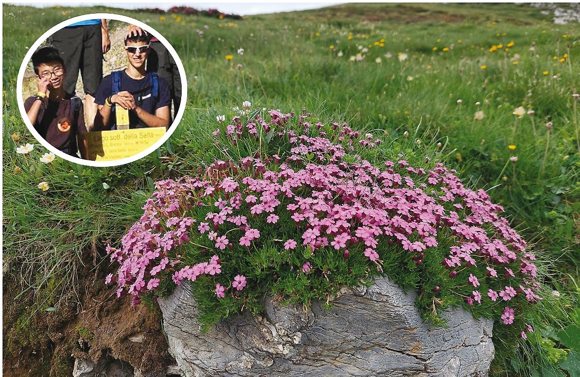 Junior Ranger: come diventare giovani custodi della natura