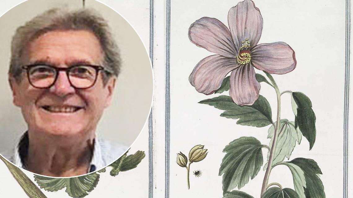 Vicoforte omagger&agrave; lo studioso di botanica dimenticato