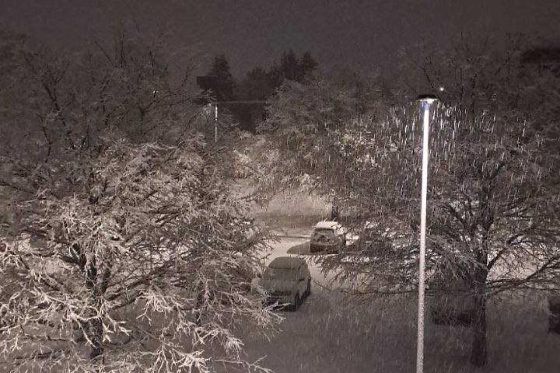 Alberi caduti e pullman di traverso: il Cuneese sotto la neve